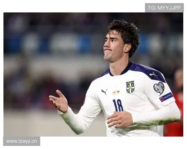 弗拉霍维奇与哈兰德终结能力级别差异解析